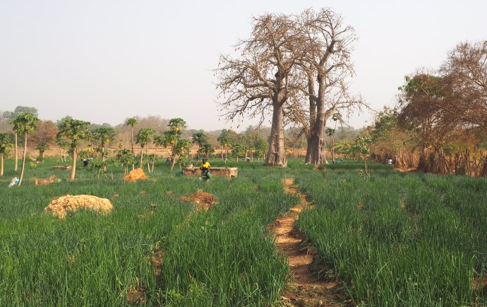 Vers un habitat écologique, solidaire et accessible en Afrique de l’Ouest&nbsp;: urbaMonde en mission en Côte d’Ivoire